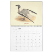 Calendrier La mouette lithographie - des oiseaux de New York (Jan 2027)