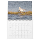 Calendrier La nature a un sens de l'humour (Mar 2026)