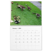 CALENDRIER LA NORME *CANADIENNE DE L'ESSENCE* - *DUCKLINGS* 2 (Feb 2026)