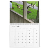 CALENDRIER LA NORME *CANADIENNE DE L'ESSENCE* - *DUCKLINGS* 2 (Jan 2026)