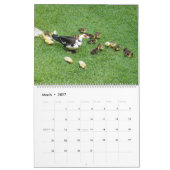 CALENDRIER LA NORME *CANADIENNE DE L'ESSENCE* - *DUCKLINGS* 2 (Mar 2027)