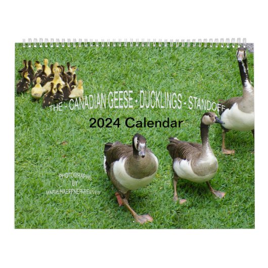 CALENDRIER LA NORME *CANADIENNE DE L'ESSENCE* - *DUCKLINGS* 2 (Protection)