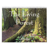 Calendrier La photographie de la forêt vivante (Protection)