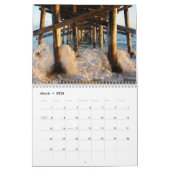 Calendrier La Plage (Mar 2026)