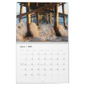 Calendrier La Plage (Mar 2027)