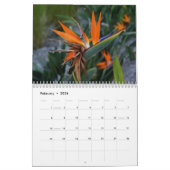 CALENDRIER LA PLAGE (Feb 2026)