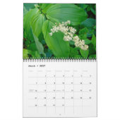 Calendrier - La plupart du temps vert (Mar 2027)