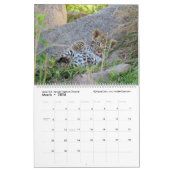 Calendrier La prochaine génération (animaux africains) (deux  (Mar 2026)