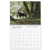 Calendrier La prochaine génération (animaux africains) (deux  (Jan 2026)
