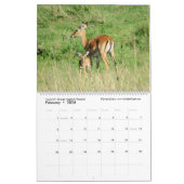 Calendrier La prochaine génération (animaux africains) (deux  (Feb 2026)