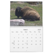 Calendrier La vie du Wyoming… (Mar 2027)