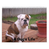 Calendrier La vie d'un chien (Protection)