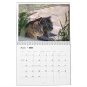 Calendrier La Vie Férale 2024 Beaux Chats Naturels Calenda (Mar 2026)