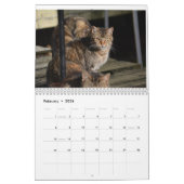 Calendrier La Vie Férale 2024 Beaux Chats Naturels Calenda (Feb 2026)