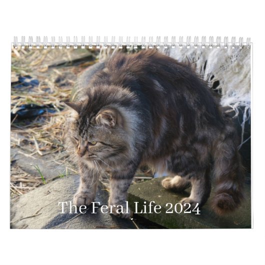 Calendrier La Vie Férale 2024 Beaux Chats Naturels Calenda (Protection)