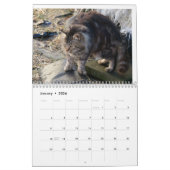Calendrier La Vie Férale 2024 Beaux Chats Naturels Calenda (Jan 2026)