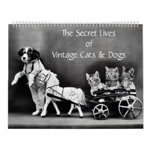Calendrier La vie secrète des chats et des chiens Vintages