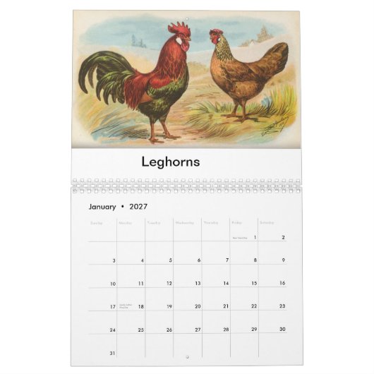 Calendrier La volaille de Biggle classent (Jan 2027)