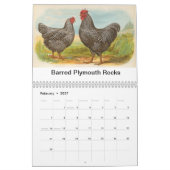Calendrier La volaille de Biggle classent (Feb 2027)