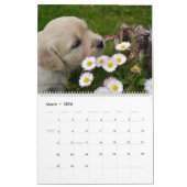 Calendrier Lab Puppies Labrador Retriever Wall 2025 Calendrie (Mar 2026)