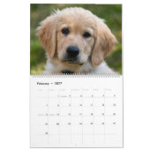 Calendrier Lab Puppies Labrador Retriever Wall 2025 Calendrie (Feb 2027)