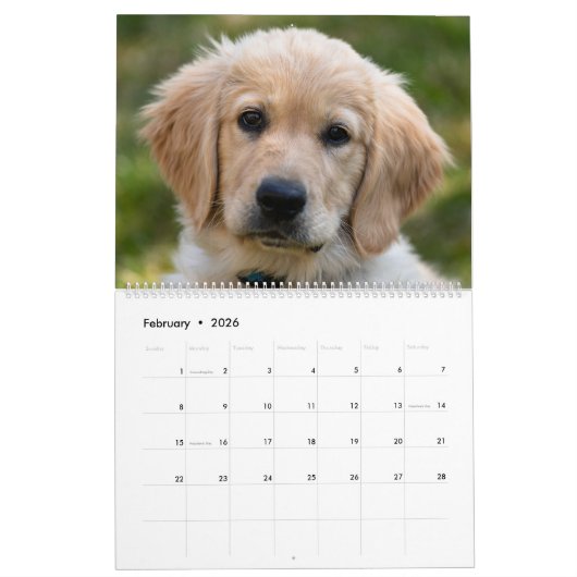 Calendrier Lab Puppies Labrador Retriever Wall 2025 Calendrie (Feb 2026)