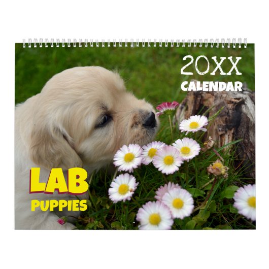 Calendrier Lab Puppies Labrador Retriever Wall 2025 Calendrie (Protection)