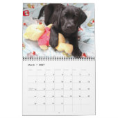 Calendrier Laboratoires - Black Labrador Retriever (Mar 2027)