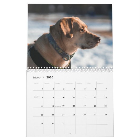 calendrier labrador 2023 (Mar 2026)