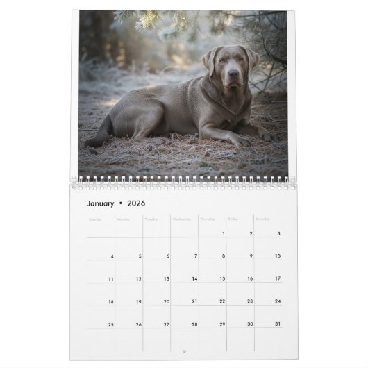 Calendrier Labrador Love Calendar (Jan 2026)