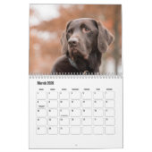 Calendrier Labrador Retriever (Mar 2026)