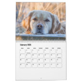 Calendrier Labrador Retriever (Feb 2026)