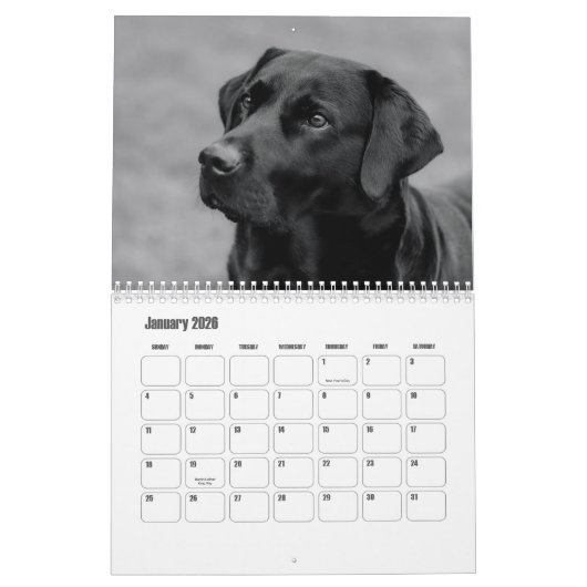 Calendrier Labrador Retriever (Jan 2026)