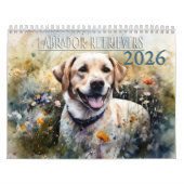 Calendrier Labrador Retriever 2026 (Protection)