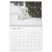 Calendrier Labrador Retriever jaune Chien mignon (Jan 2027)
