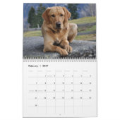 Calendrier Labrador Retriever jaune Chien mignon (Feb 2027)