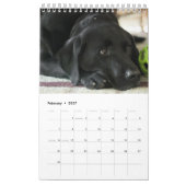 Calendrier Labrador Retriever noir 2026 (Feb 2027)