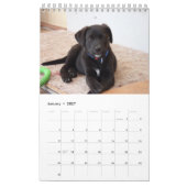 Calendrier Labrador Retriever noir 2026 (Jan 2027)