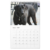 Calendrier Labrador Retriever noir 2026 (Mar 2027)