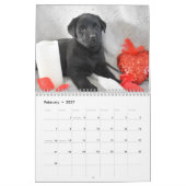 Calendrier Labrador Retriever Puppies (Feb 2027)