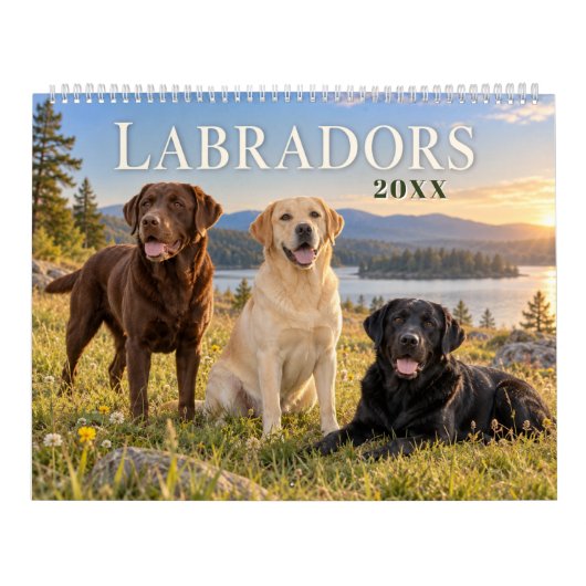 Calendrier Labradors à travers les saisons (Protection)