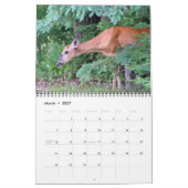 Calendrier Lac Kabetogama (Mar 2027)