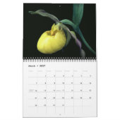 Calendrier Lady Slipper Orchid Flowers (Mar 2027)