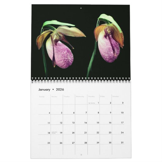 Calendrier Lady Slipper Orchid Flowers (Jan 2026)