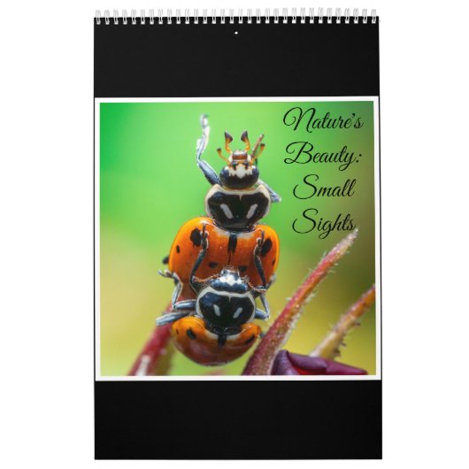 Calendrier Ladybug Macro Nature Art Photography Calendar 2026 (Protection)