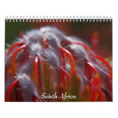 Calendrier L'Afrique du Sud (Protection)