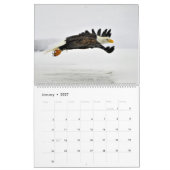 Calendrier L'aigle royal des chauves-souris (Jan 2027)