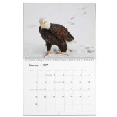 Calendrier L'aigle royal des chauves-souris (Feb 2027)