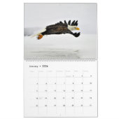 Calendrier L'aigle royal des chauves-souris (Jan 2026)