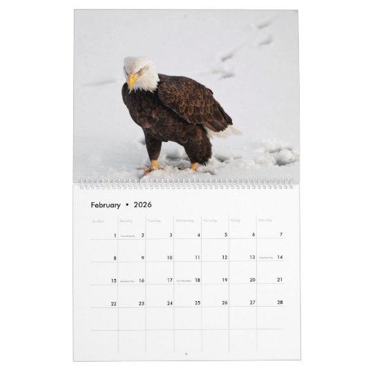 Calendrier L'aigle royal des chauves-souris (Feb 2026)